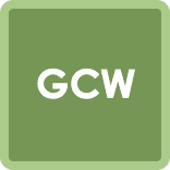 Global Communication Workshop